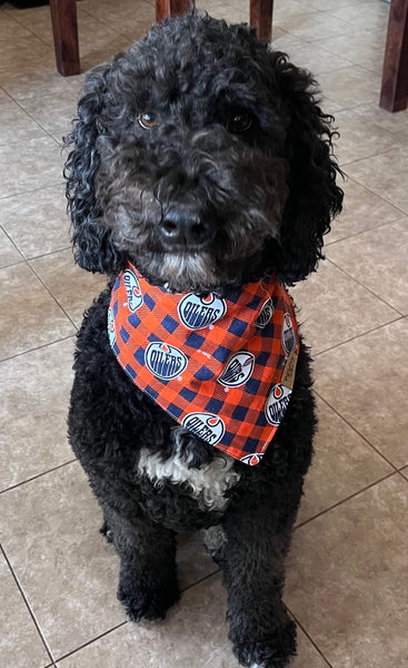 NHL Bandana