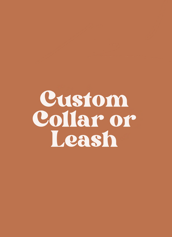 Custom Design Collar or Leash